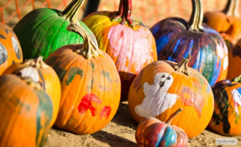 pumpkin octoevent 768x469