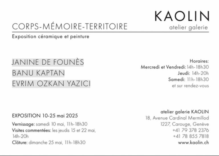 IMG 1280D3FF2864 1 768x545