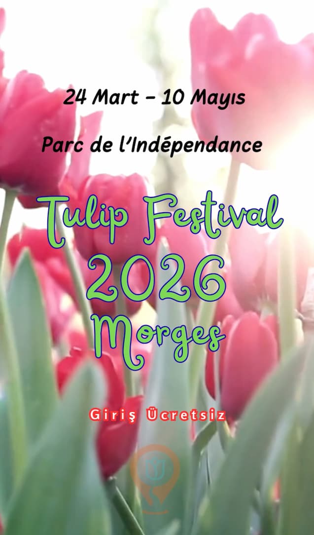 Screenshot 2026 03 09 at 21.21.40